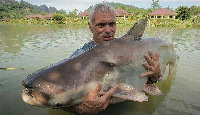 river-monsters.fandom.com