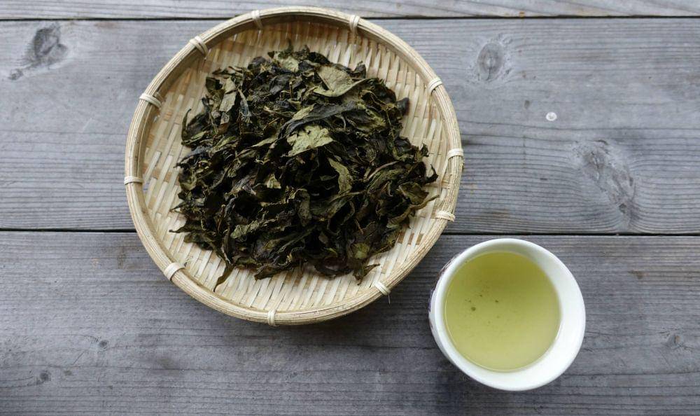 discovertokushima.net