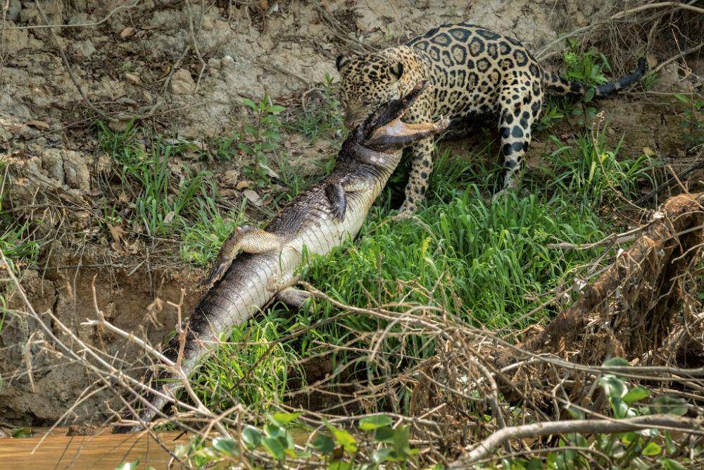 nationalgeographic.com