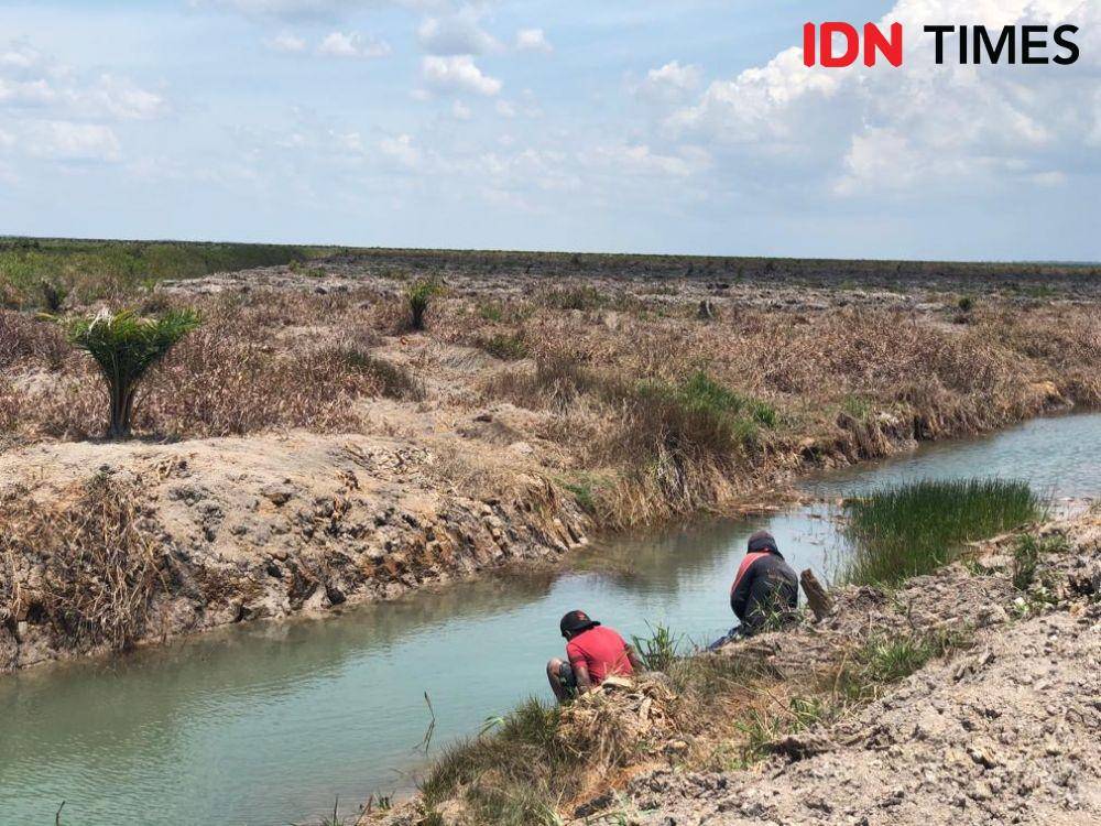 Sekat kanal di wilayah OKI (IDN Times/Rangga Erfizal)