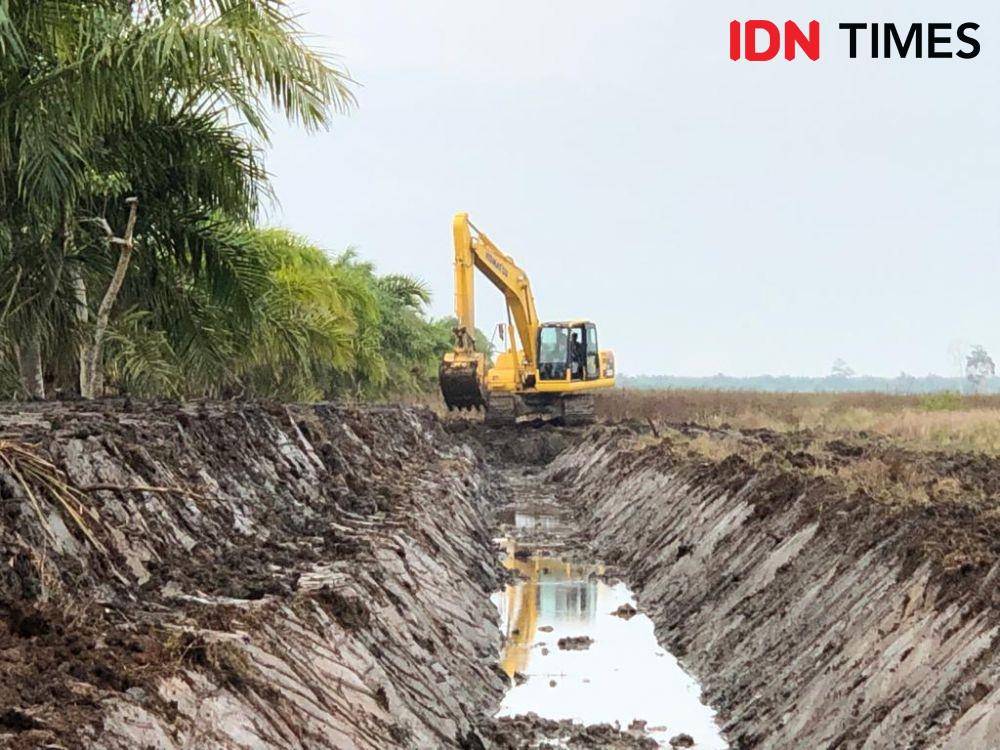 Pembuatan sekat kanal di wilayah Banyuasin (IDN Times/Rangga Erfizal)