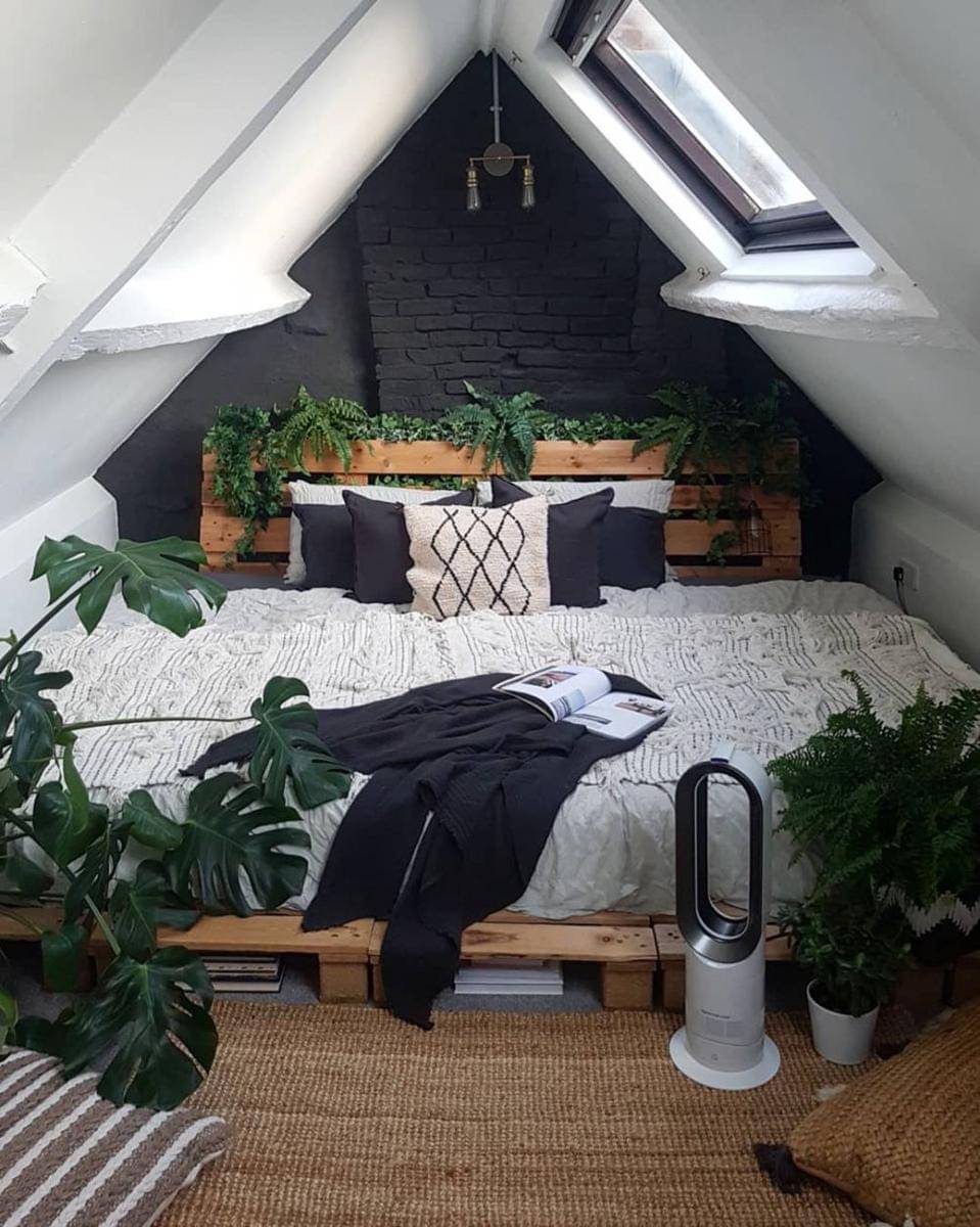 Instagram.com/_saralouisa