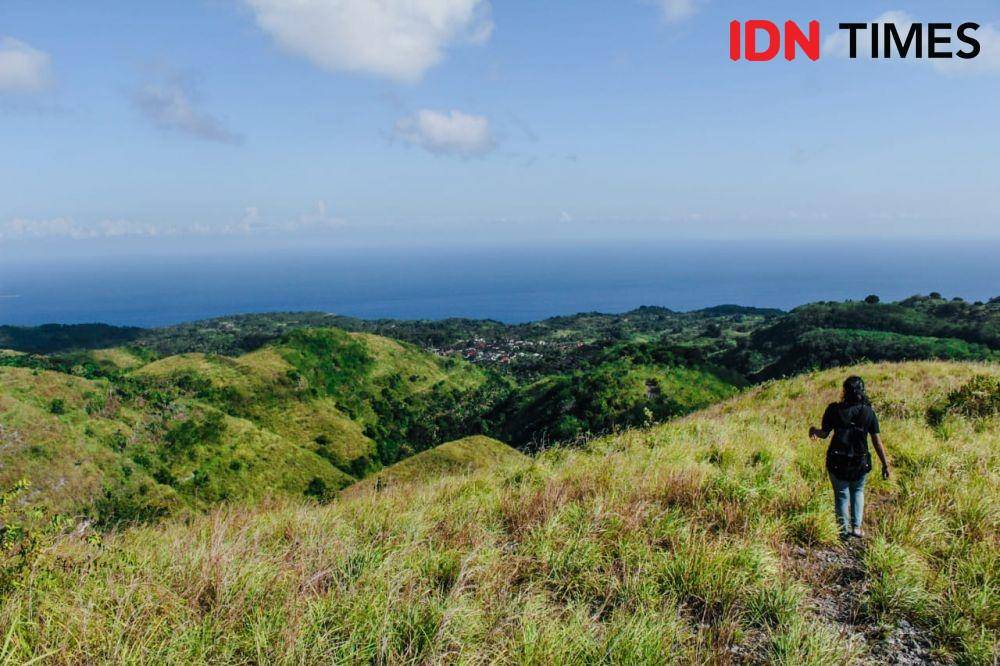 IDN Times/Wayan Antara
