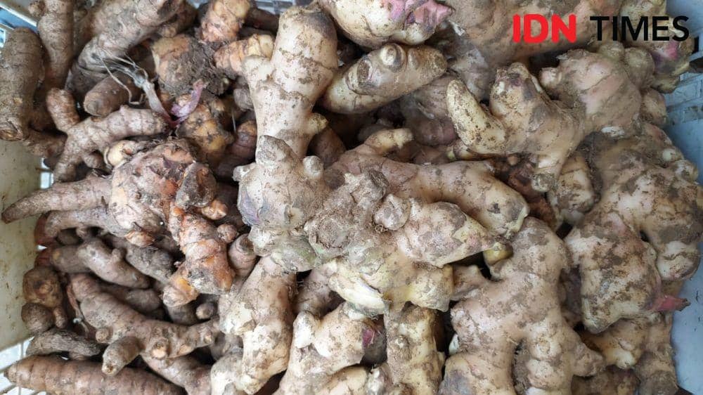 Setelah Gula Pasir, Harga Jahe di Kota Malang Melonjak