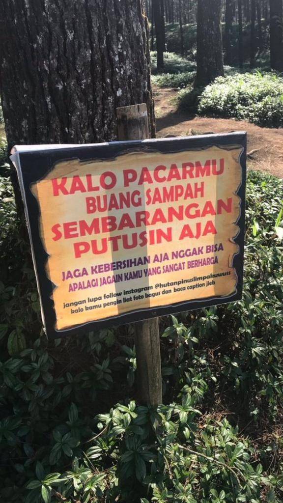 Twitter.com/hanidwilstr