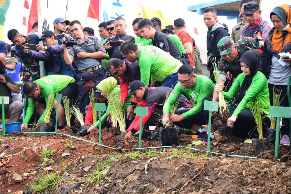 Pulihkan Lahan Kritis, 1 Juta Pohon Ditanam di Sepanjang DAS Citarum