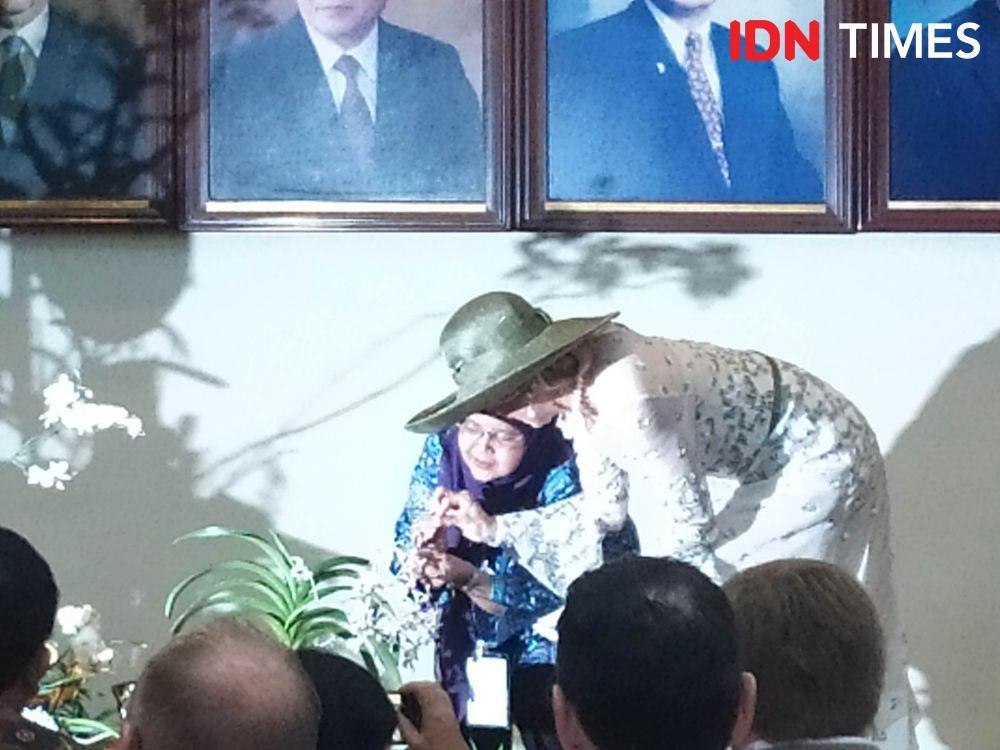 UGM Beri Nama Anggrek Merapi, Queen Maxima