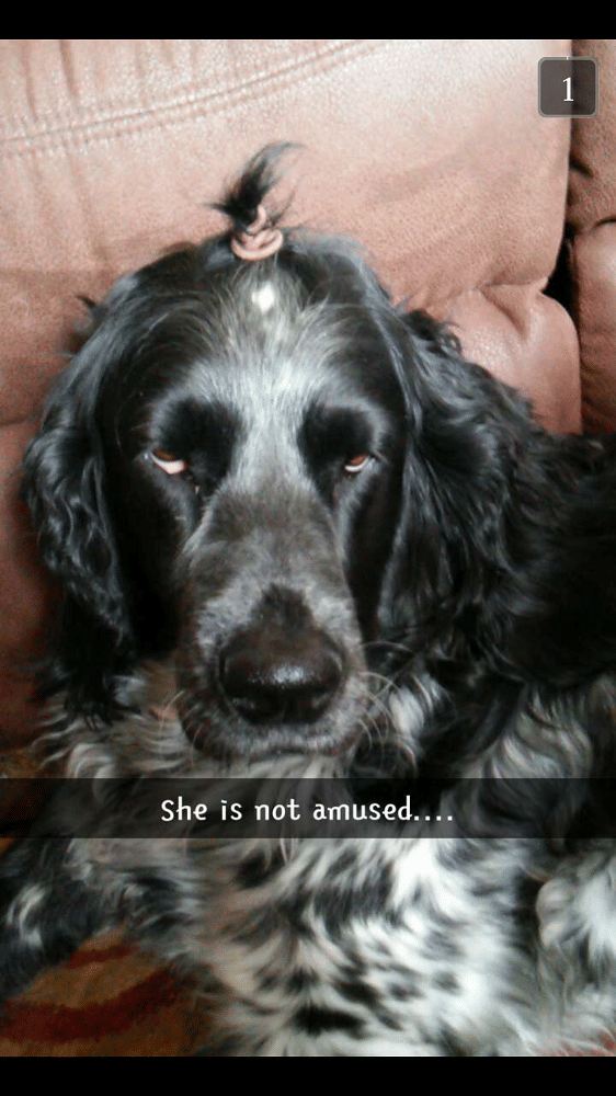 imgur.com/DidYouKnowThatCashewsComeFromAFruit