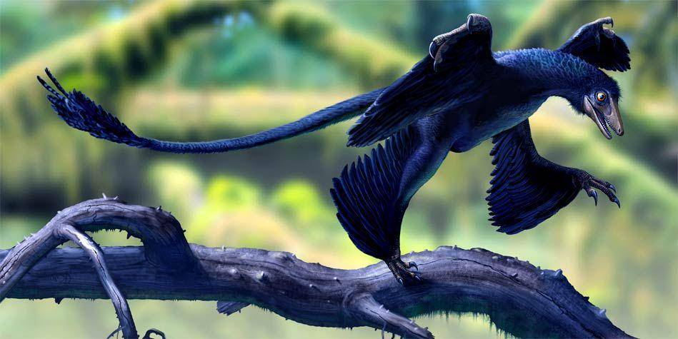 dinoanimals.pl