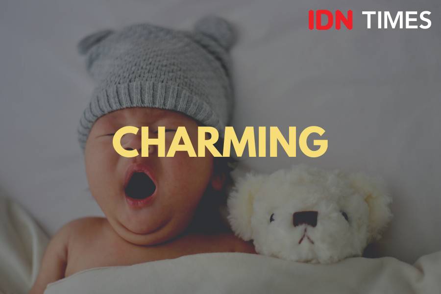 IDN Times/M. Tarmizi Murdianto