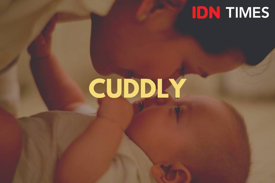 IDN Times/M. Tarmizi Murdianto