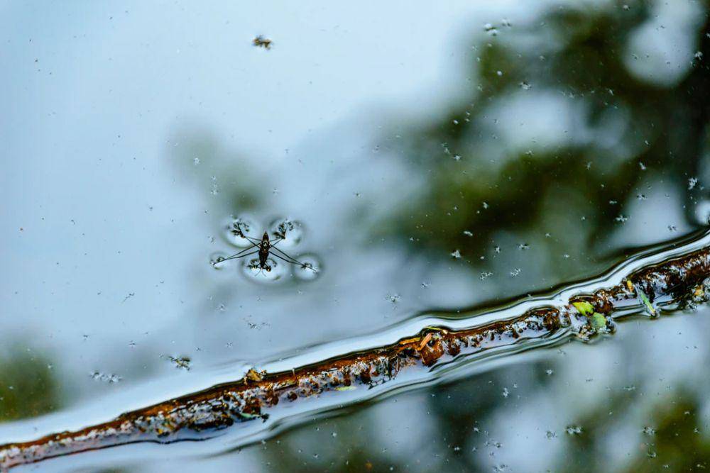 Unsplash/Christopher Paul High