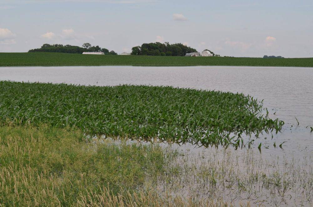 blog-crop-news.extension.umn.edu