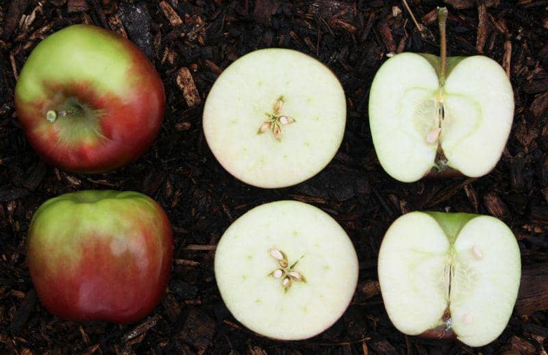 unsplash.com/PhillipLarking