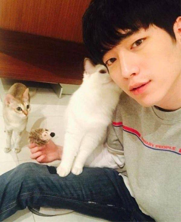 kpopherald.koreaherald.com