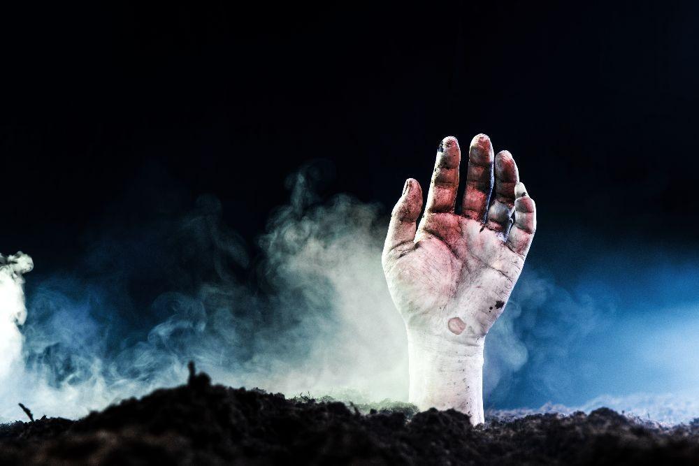 5 Hewan Parasit Ini Bisa Menyebabkan Adanya Zombie, Seperti Kingdom?