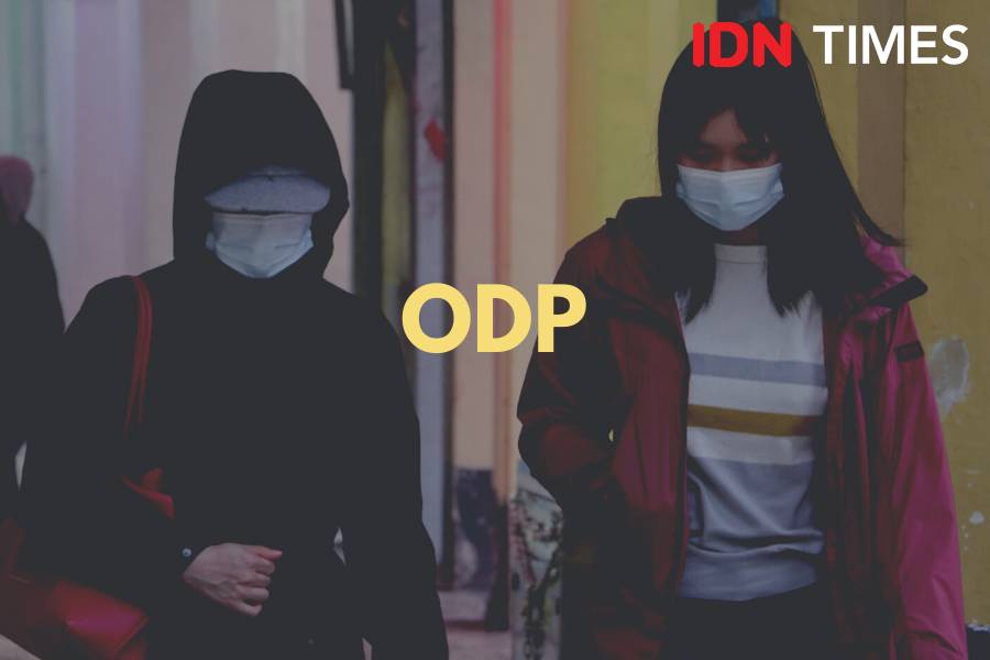 IDN Times/M. Tarmizi Murdianto