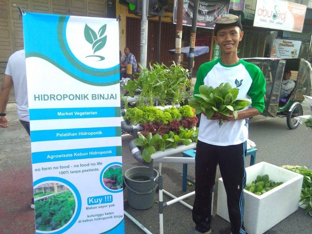 Cocok di Perkotaan, Pemuda di Binjai Kembangkan Tanaman Hidroponik