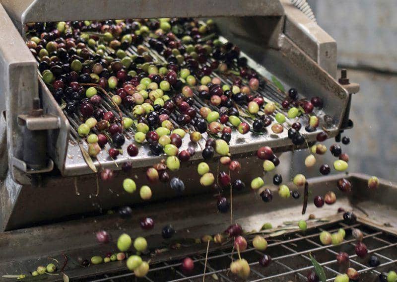 theguideistanbul.com