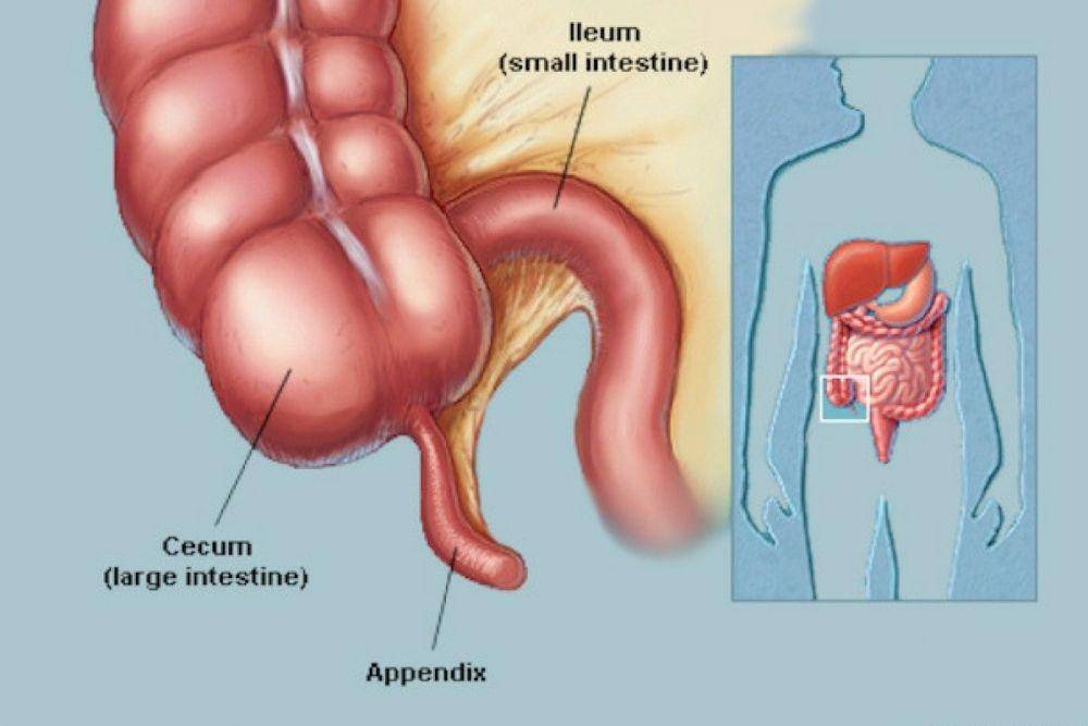 kenyalaparoscopicsurgeryservices.com