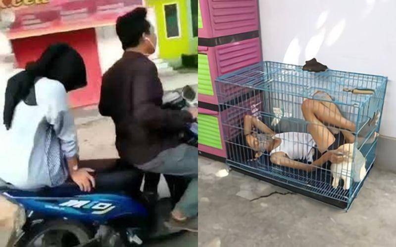 Berbagai sumber