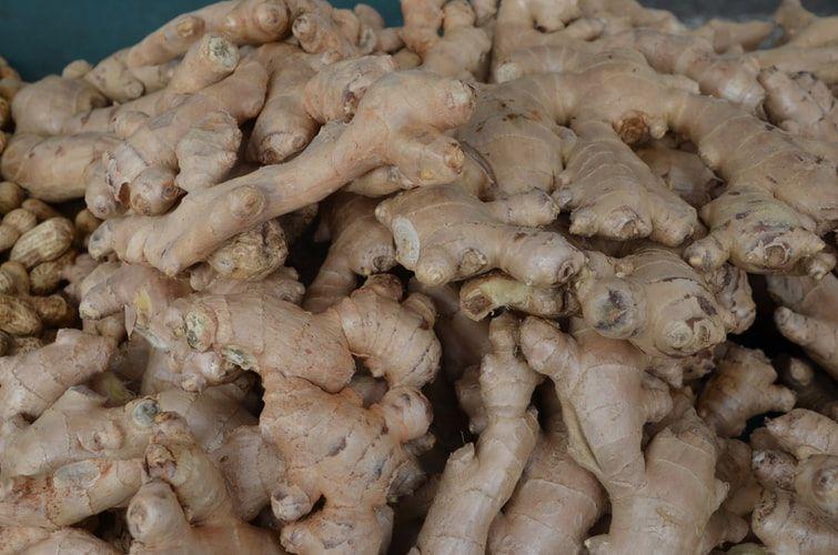 Apa Jahe dan Temulawak Bisa Tangkal Virus? Ini 5 Ulasan Ilmiahnya