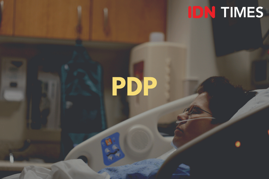 IDN Times/M. Tarmizi Murdianto