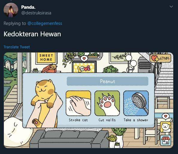 Twitter.com/destruksirasa