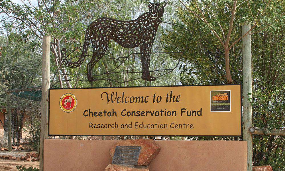 cheetah.org