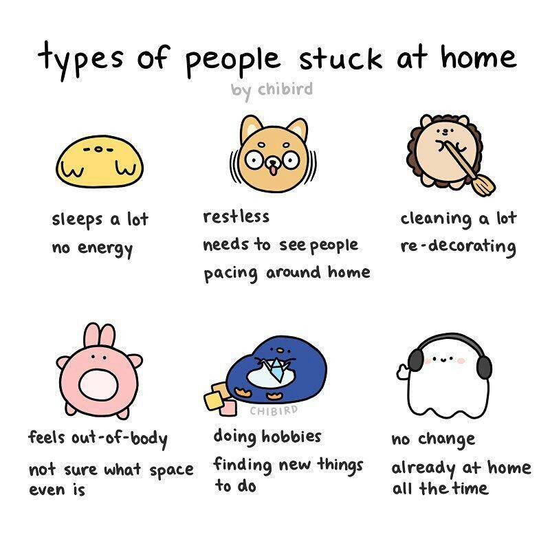 Instagram.com/chibirdart