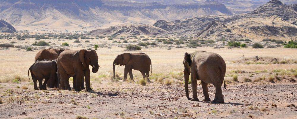travelnewsnamibia.com