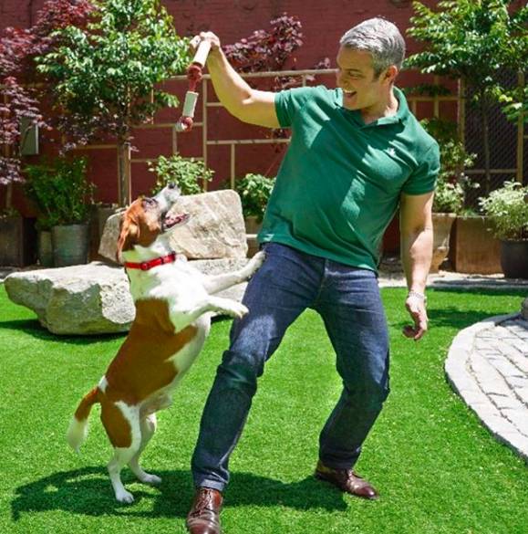 instagram.com/bravoandy