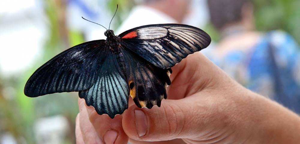 nhm.ac.uk