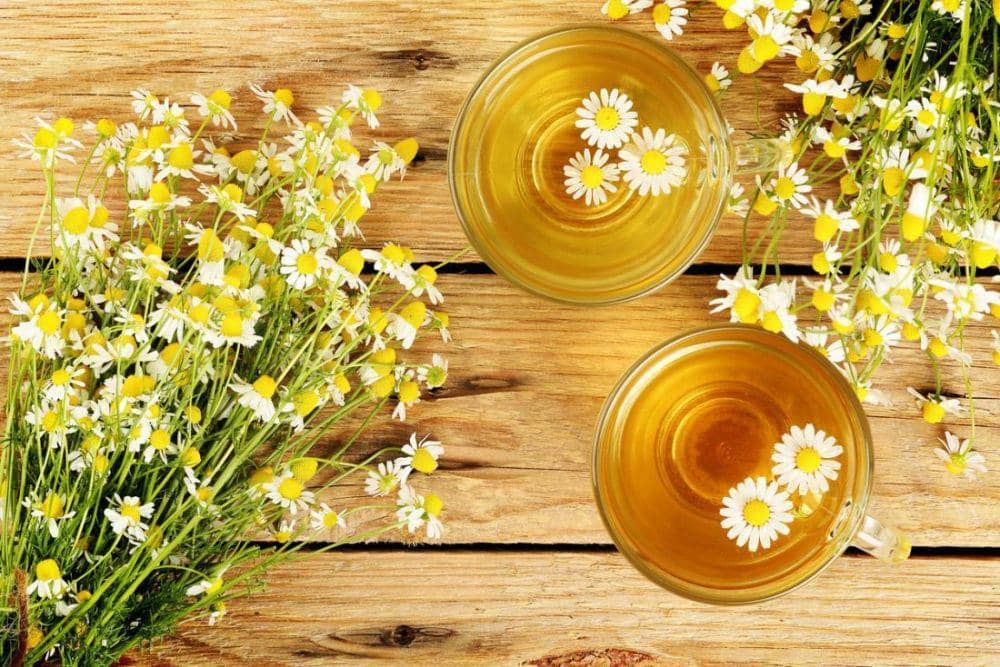 5 Jenis Teh yang Dikonsumsi Tepat Sesuai dengan Jadwalnya