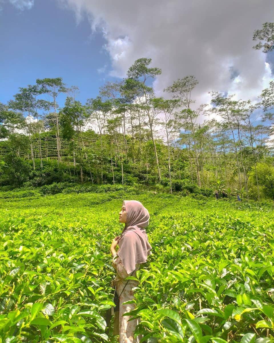 instagram.com/windirizki