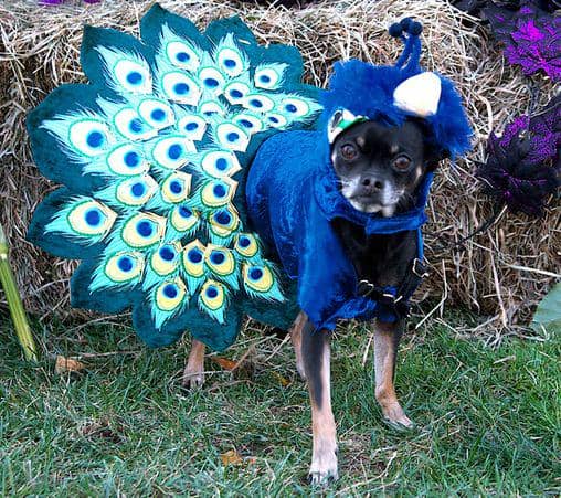costume-works.com
