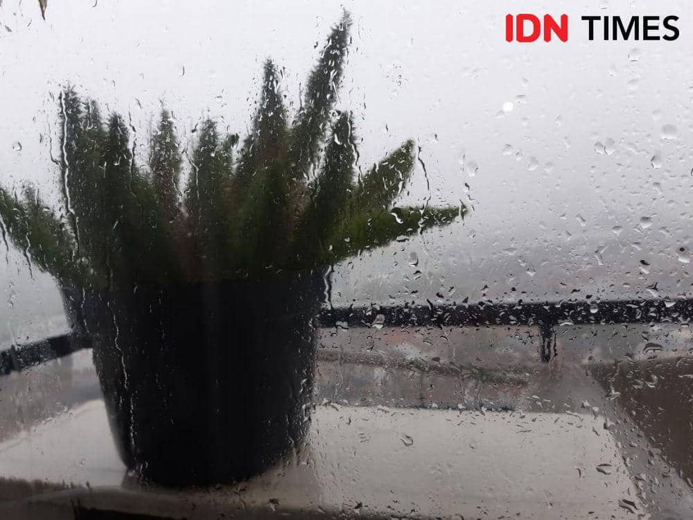 Ilustrasi hujan (IDN Times/Anata)