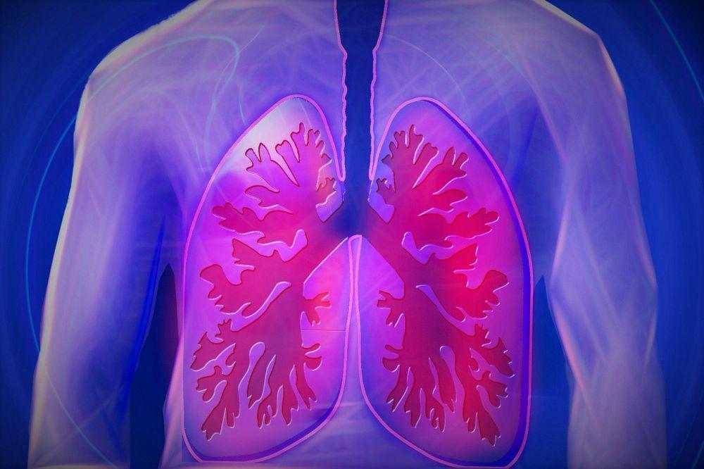 Termasuk Penyakit Mematikan, Ini 5 Fakta Seputar Tuberkulosis