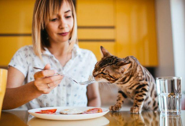 7 Makanan yang Bisa Membuat Hewan Peliharaan Kamu Mati, Hati-hati!