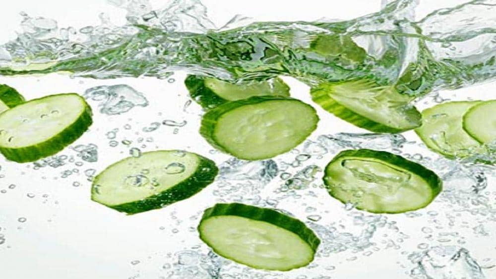 Youtube/Guide To Paleo