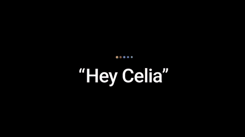 giphy.com