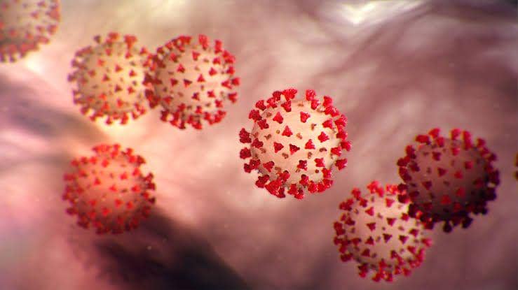 Corona virus