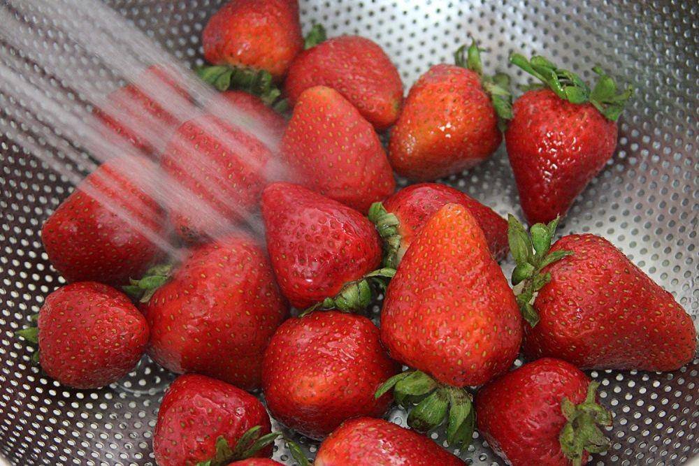 berries.com