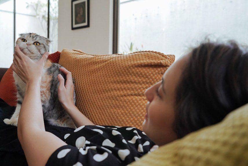 instagram.com/pevpearce