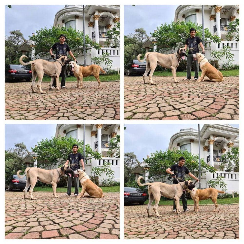 instagram.com/luckyhakimofficial