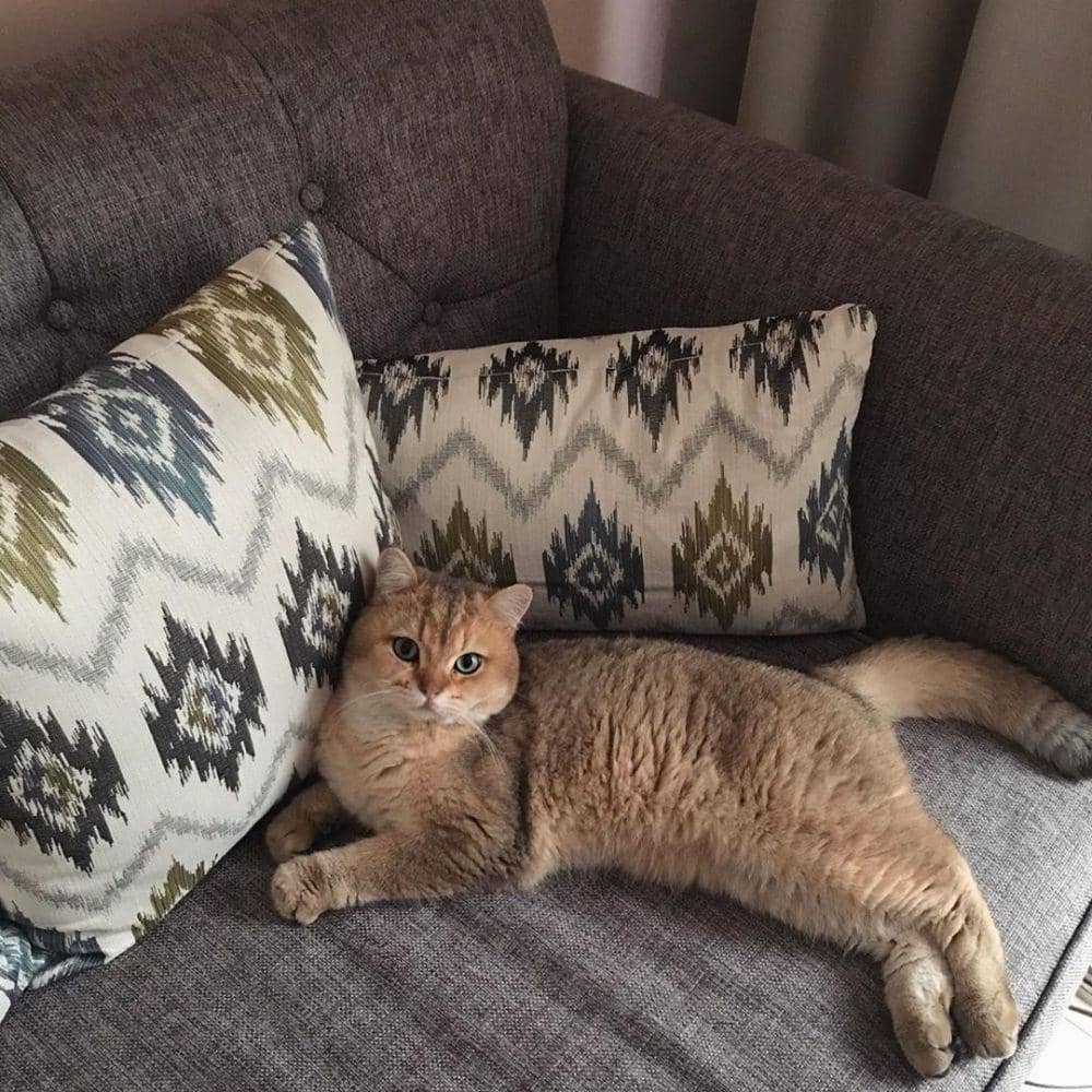 instagram.com/tatjanasaphira