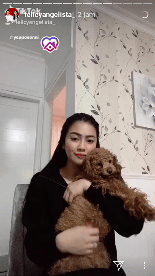 instagram.com/felicyangelista_