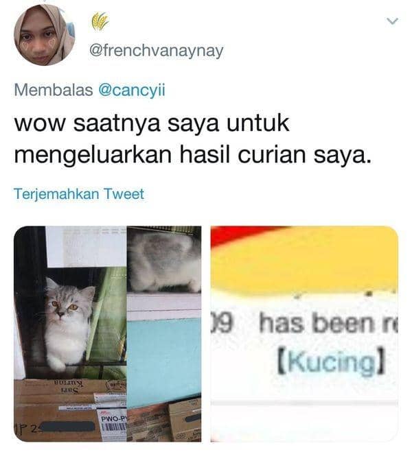 Twitter.com/frenchvanaynay