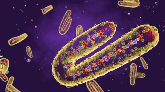 5 Virus Paling Mematikan dalam Sejarah Sampai Jadi Pemusnah Massal