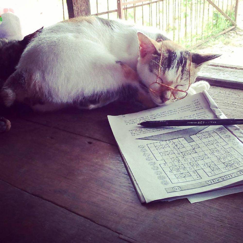 Instagram.com/tatik_suminarti